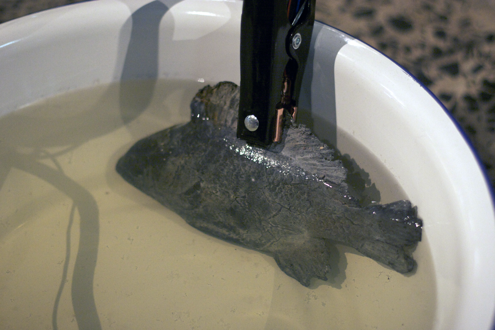 Adrift by Nigel Helyer