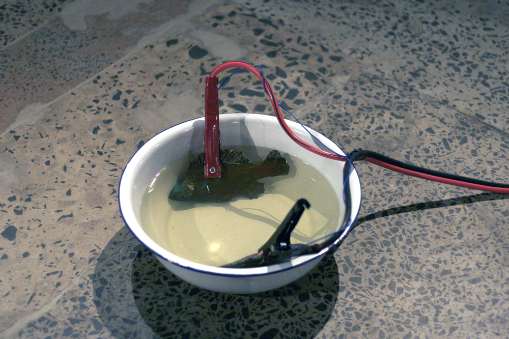 Adrift by Nigel Helyer