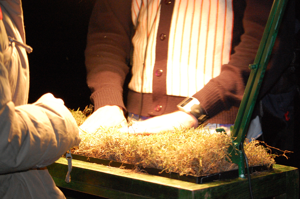 Mellissa Hunt sound installation